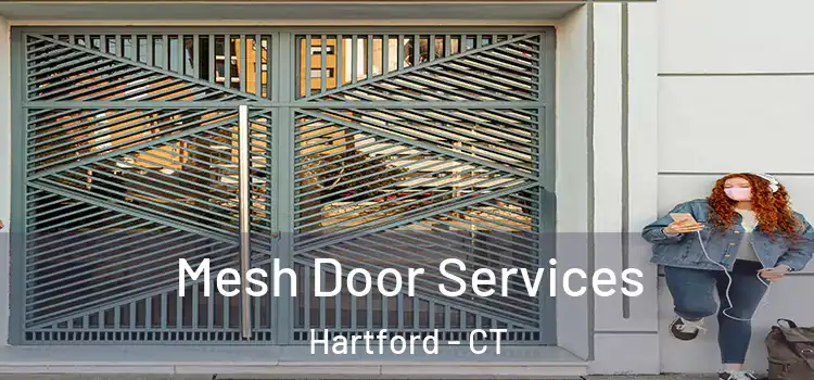 Mesh Door Services Hartford - CT